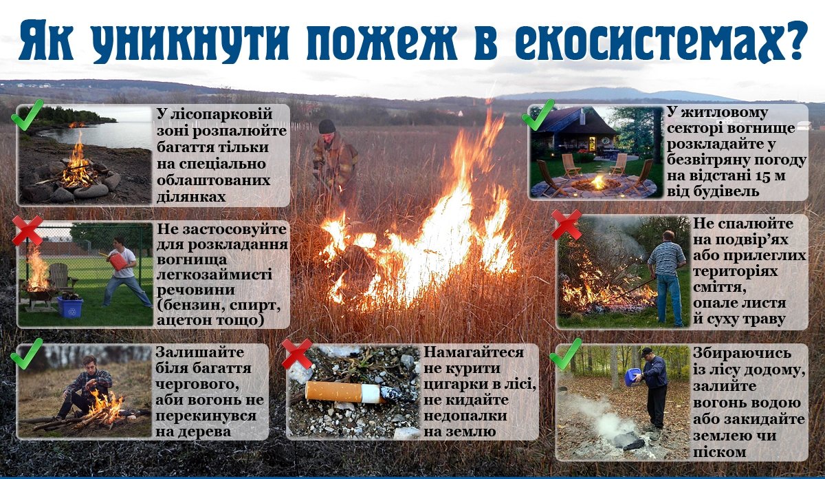 Як_уникнути_пожеж_в_природнiх_екосистемах