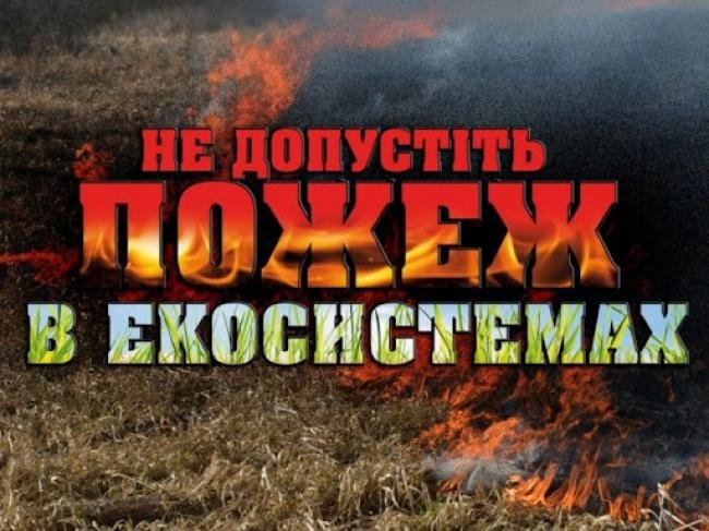 1630414097_ne-provokuyte-pozhezhi-v-ekosystemakh20210813_5451