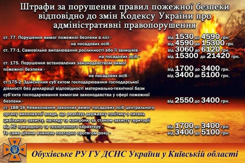 Небезпека пожеж в екосистемах