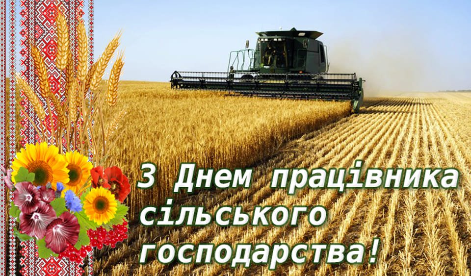 402514682_656445896606096_308491071329222462_n
