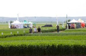 Учасники Дня поля під час огляду демонстраційних посівів